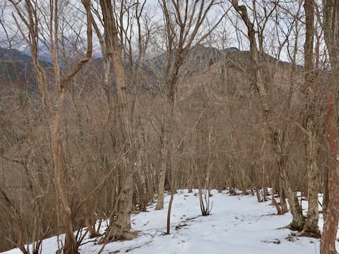 火戸尻山 鳴虫山