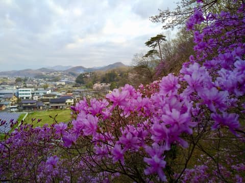 ピンク　紫グラデーションビムサ　3W 20連　土台付き YAMA 様専用